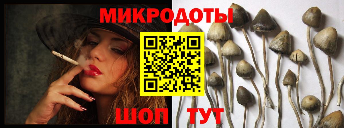 Псилоцибиновые грибы прущие грибы  Псилоцибиновые грибы Magic Shrooms  Сальск  Вход с VPN 